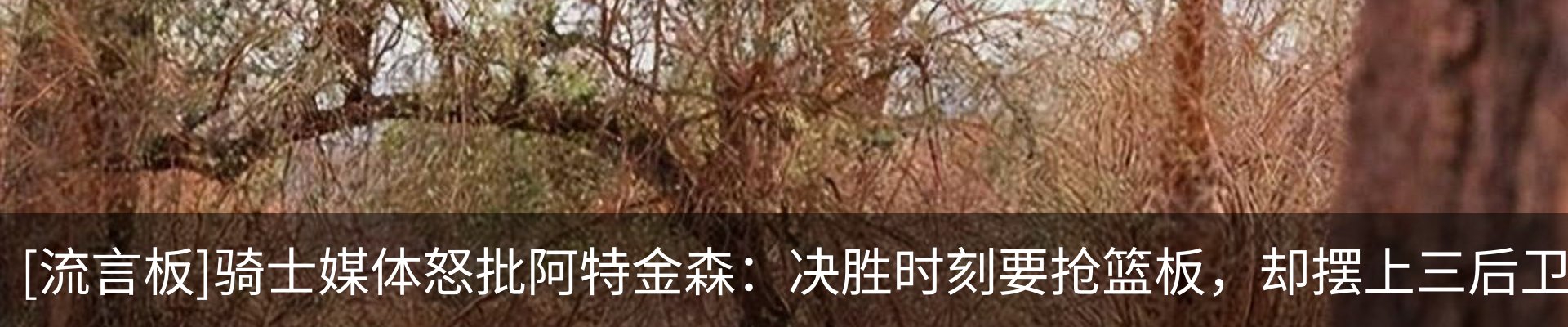 行业资讯